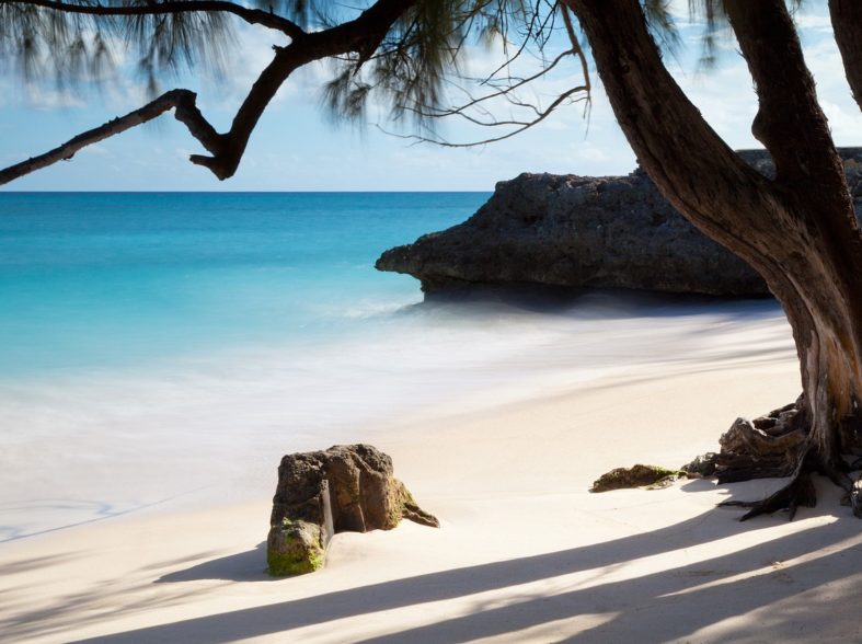 tropical, sand, ocean