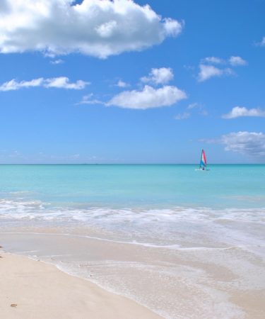 caribbean, nature, beach, sea, sand, antigua