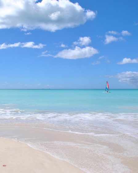 caribbean, nature, beach, sea, sand, antigua